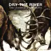 Dry the River - The Chambers & the Valves - Single
